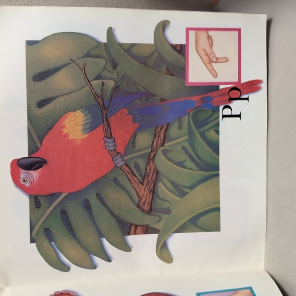 A Sign Language Alphabet Hand signs Scholastic By Kathleen Fain - Picture 8 of 16